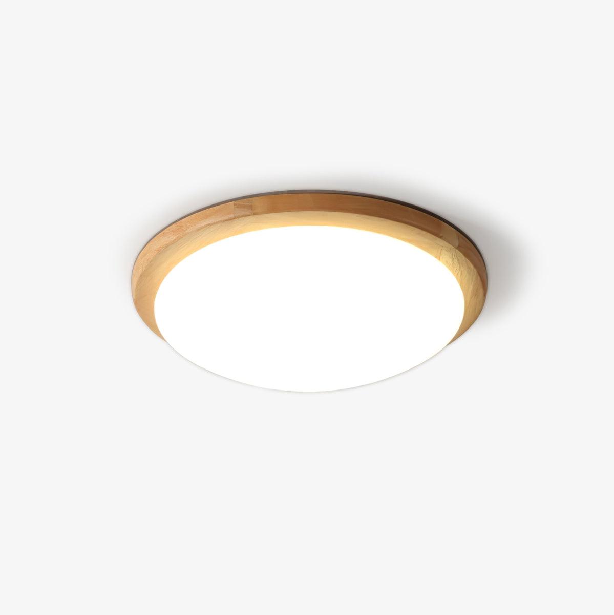 Domesc Ceiling Light