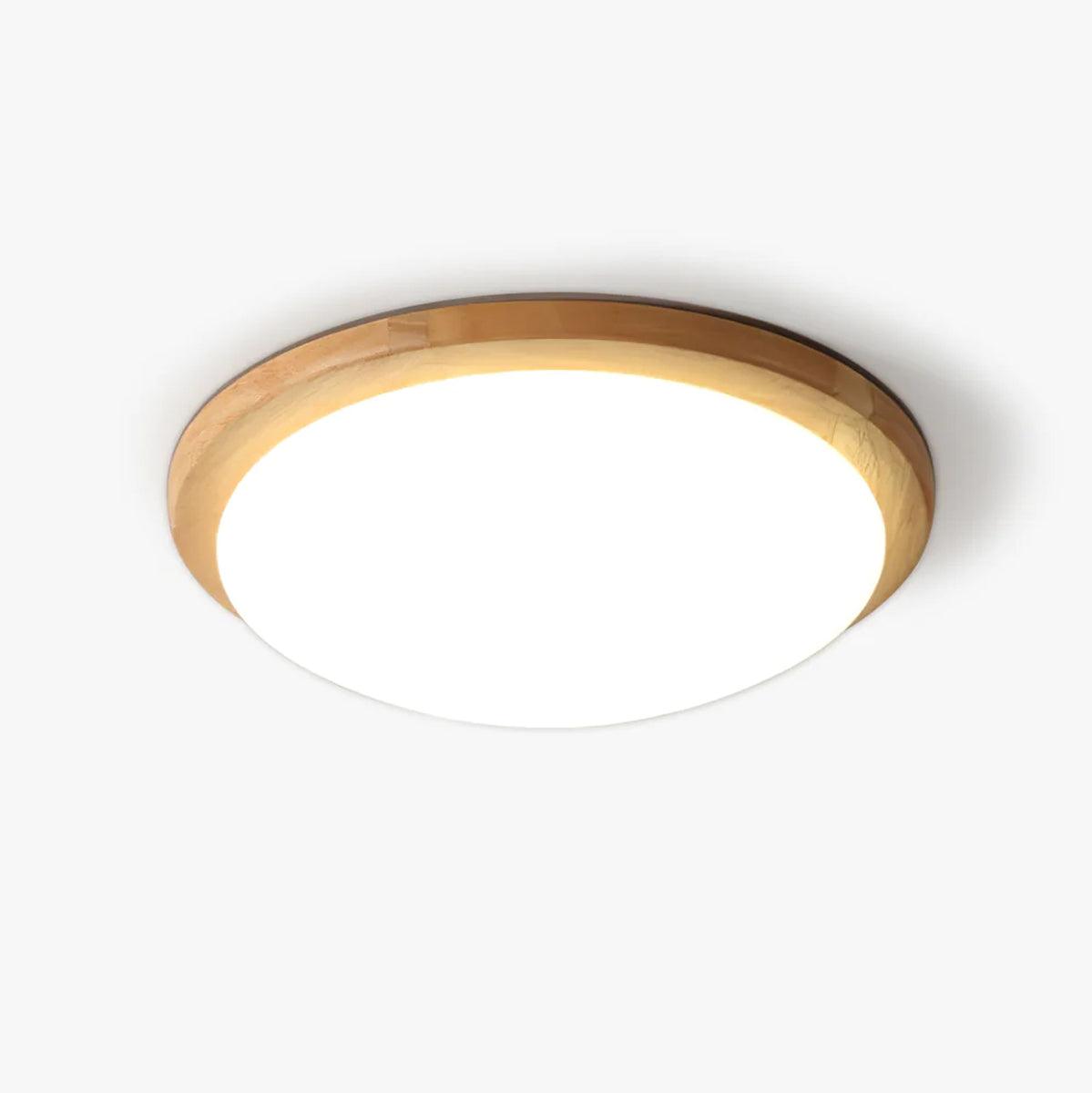 Domesc Ceiling Light