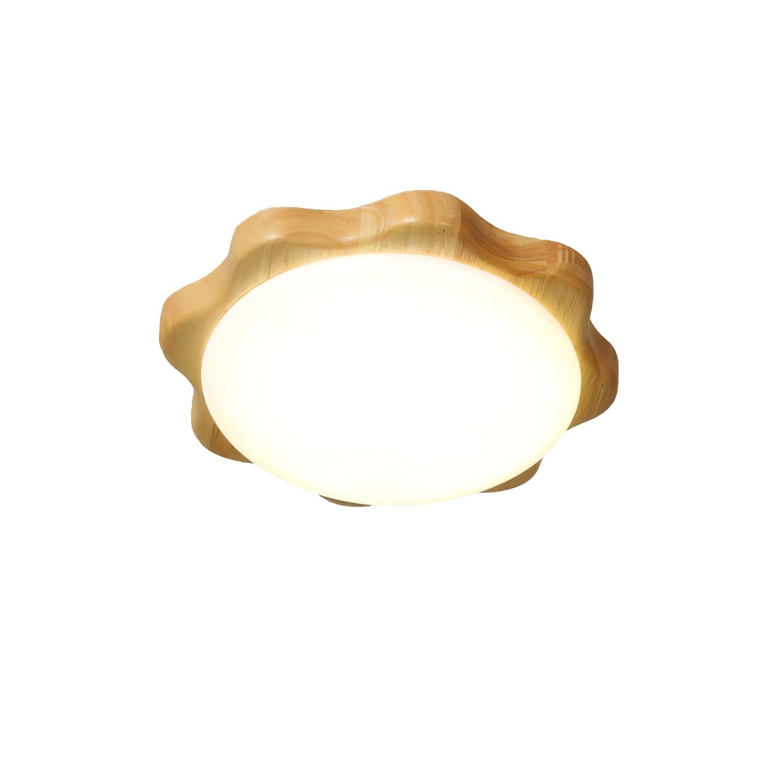 Domesc Ceiling Light