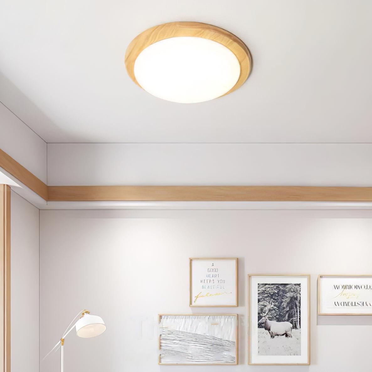 Domesc Ceiling Light