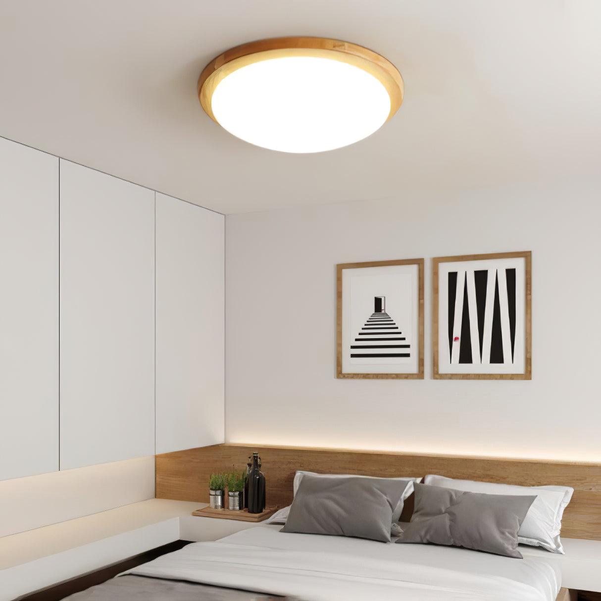 Domesc Ceiling Light