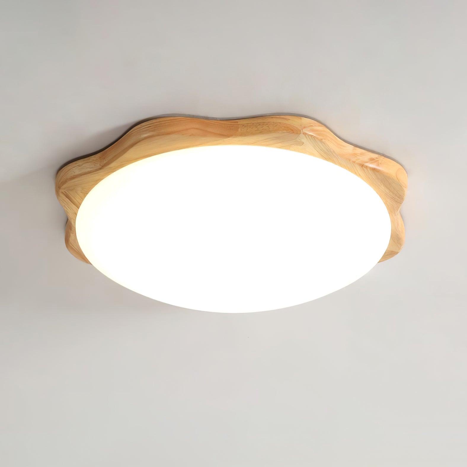 Domesc Ceiling Light
