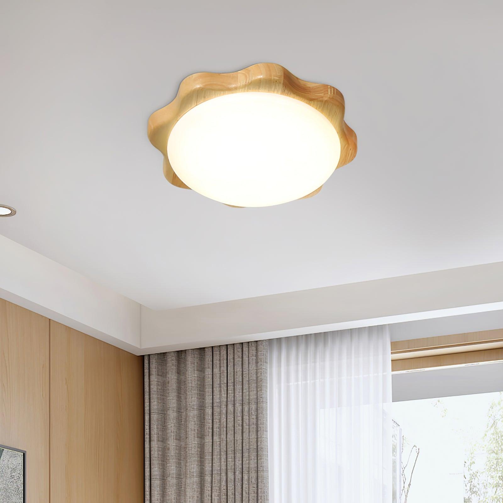Domesc Ceiling Light