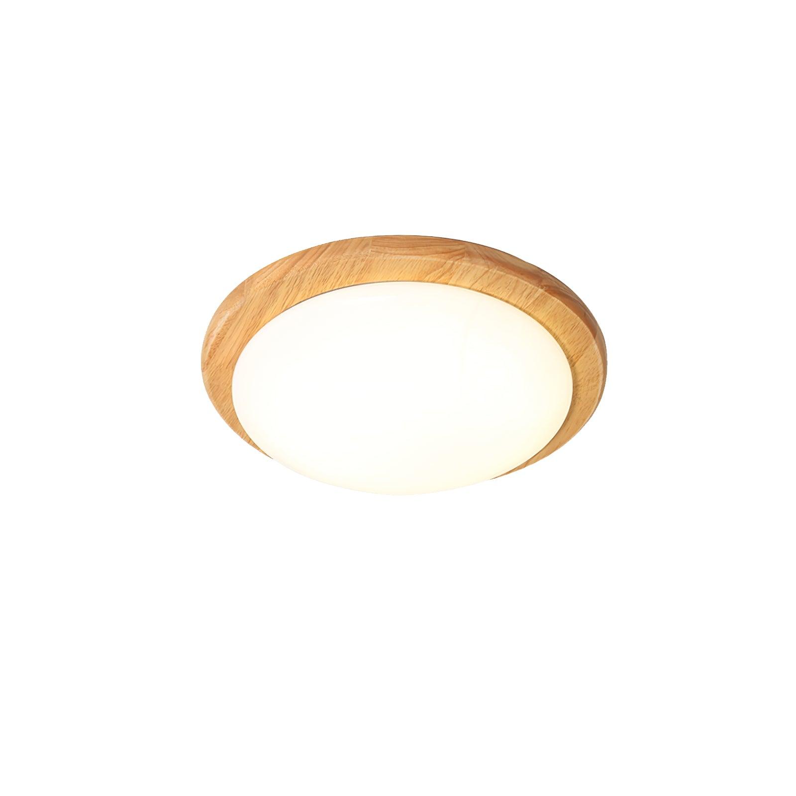 Domesc Ceiling Light
