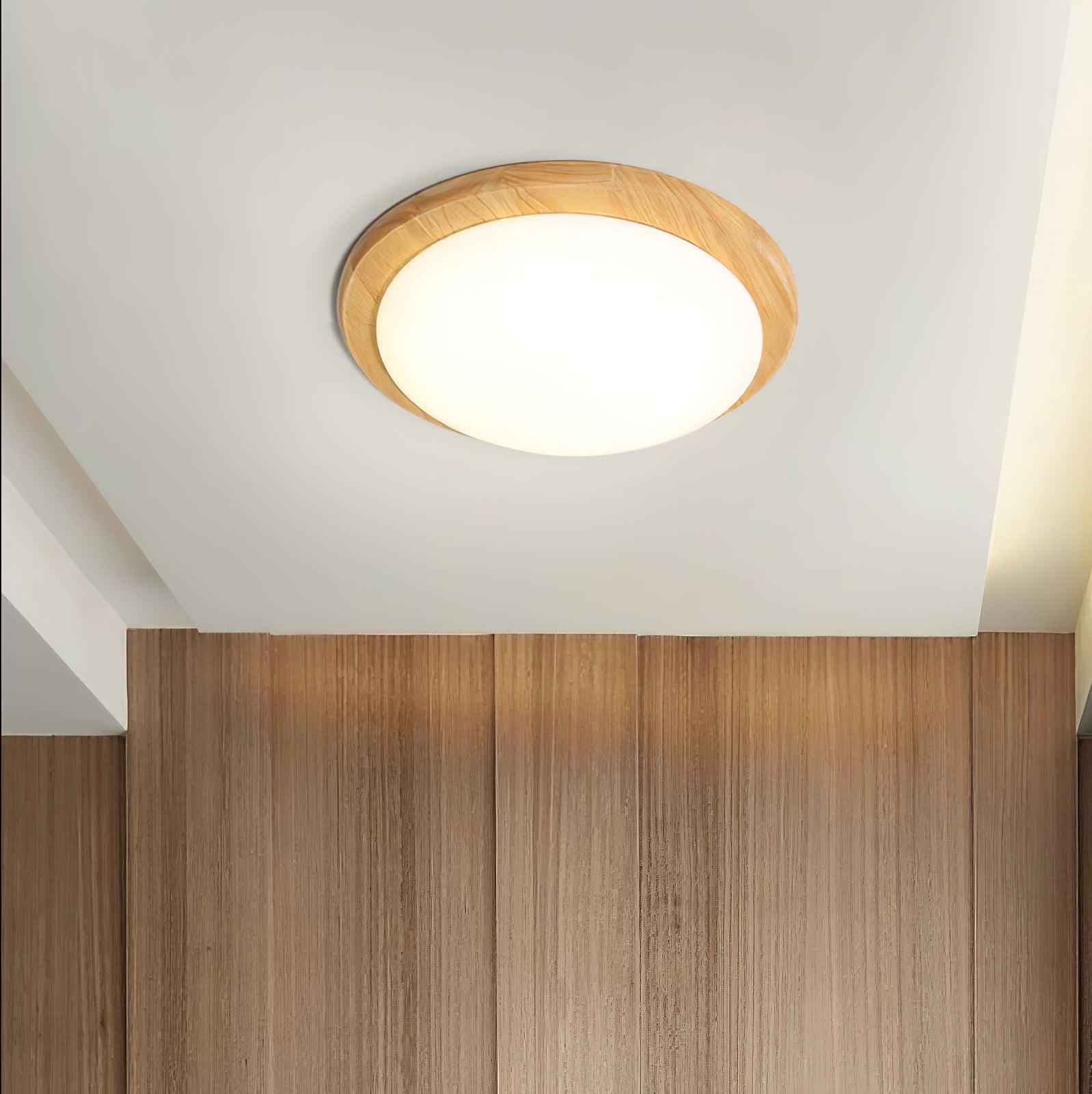Domesc Ceiling Light