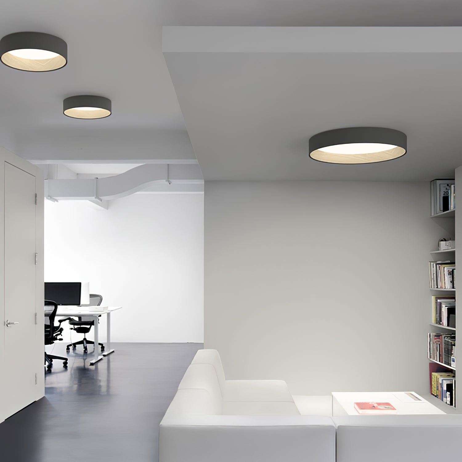 Duroze Ceiling Light