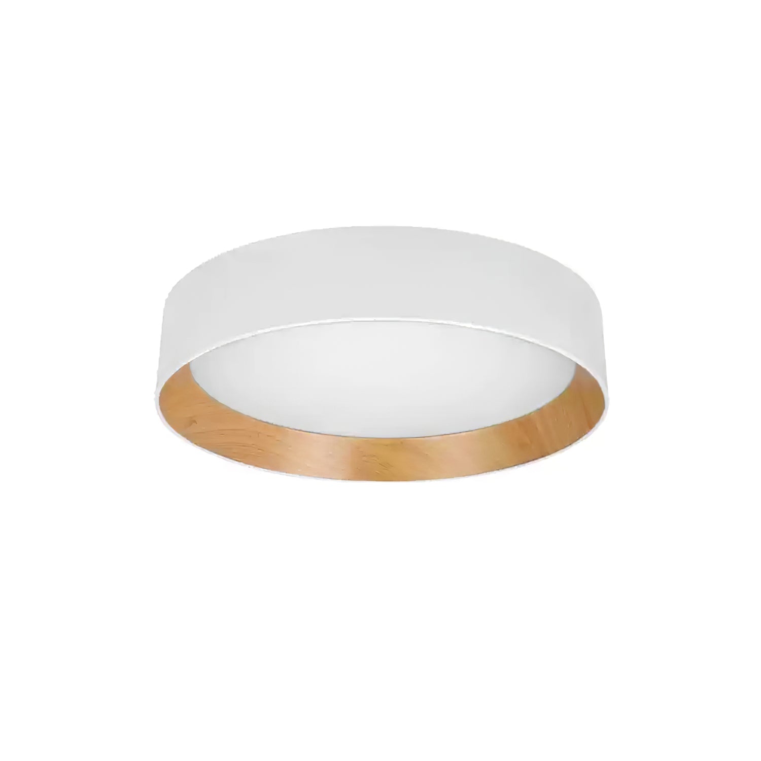 Duroze Ceiling Light
