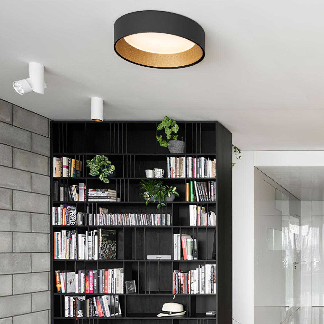 Duroze Ceiling Light