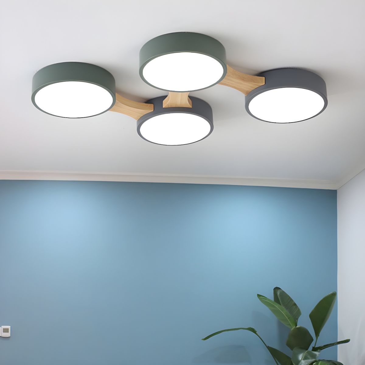 Bridon Ceiling Light