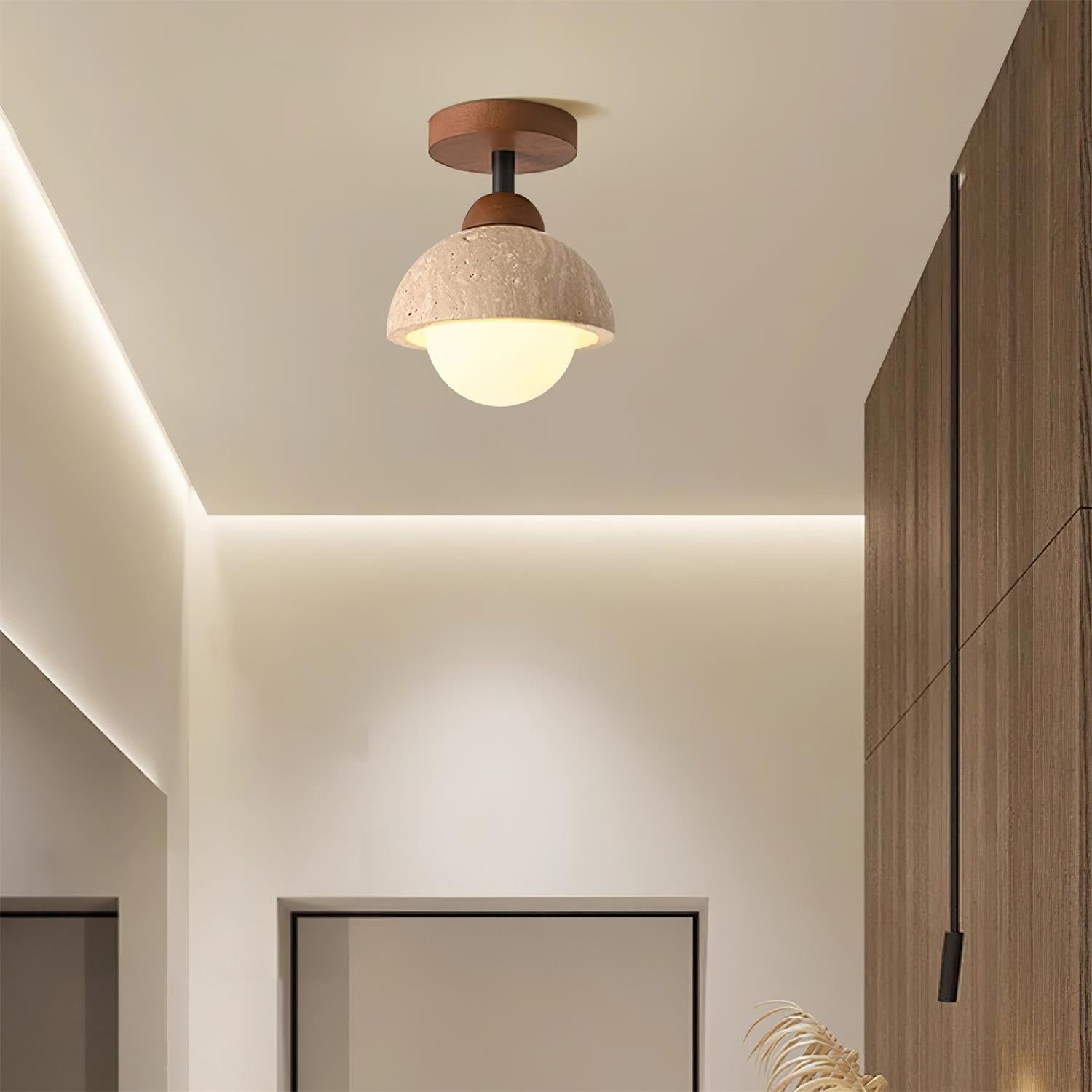 Delvoro Ceiling Light