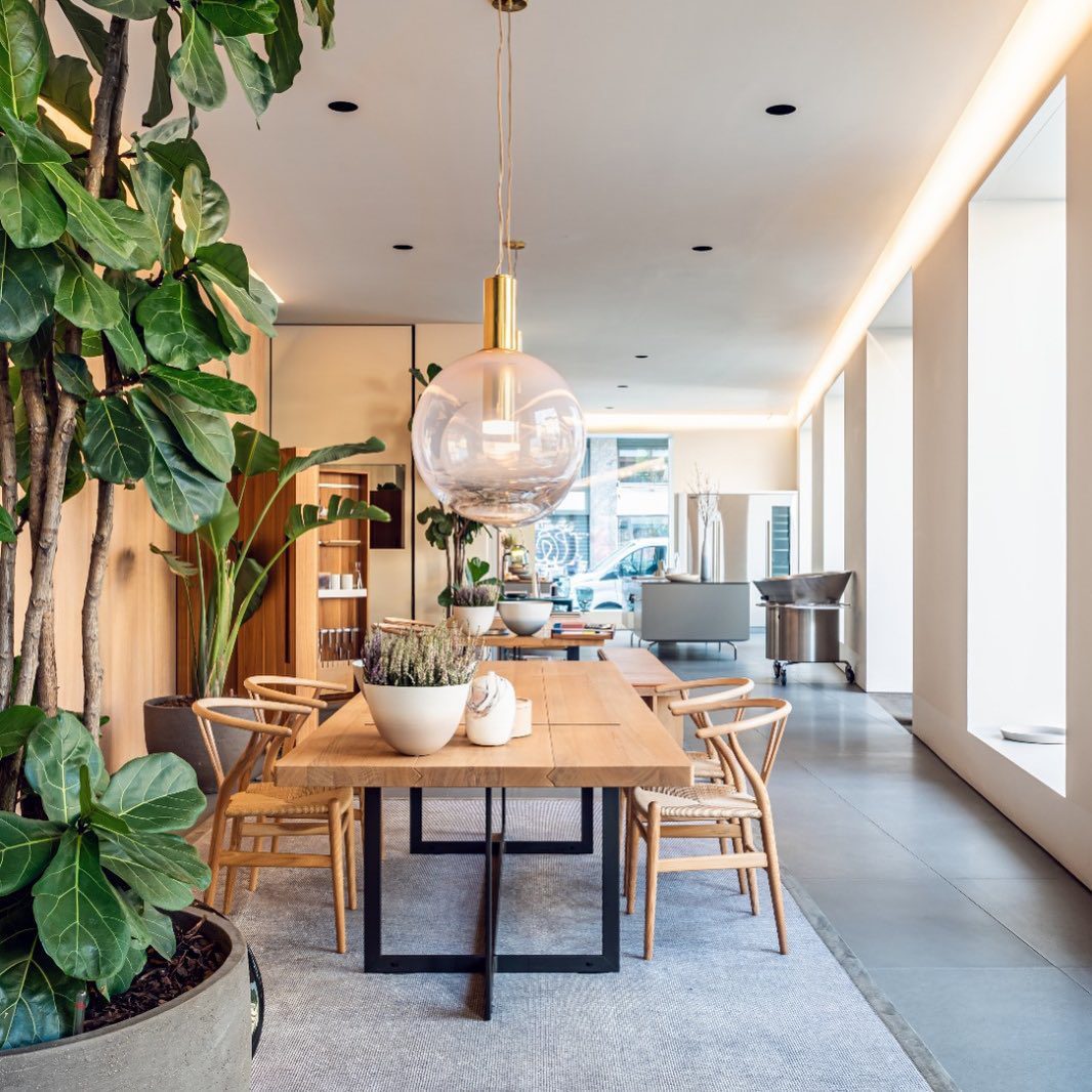 Aelisco Pendant Light