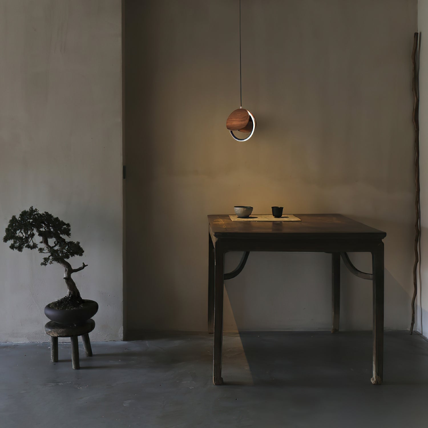 Volimeza Ring Shape Pendant Light