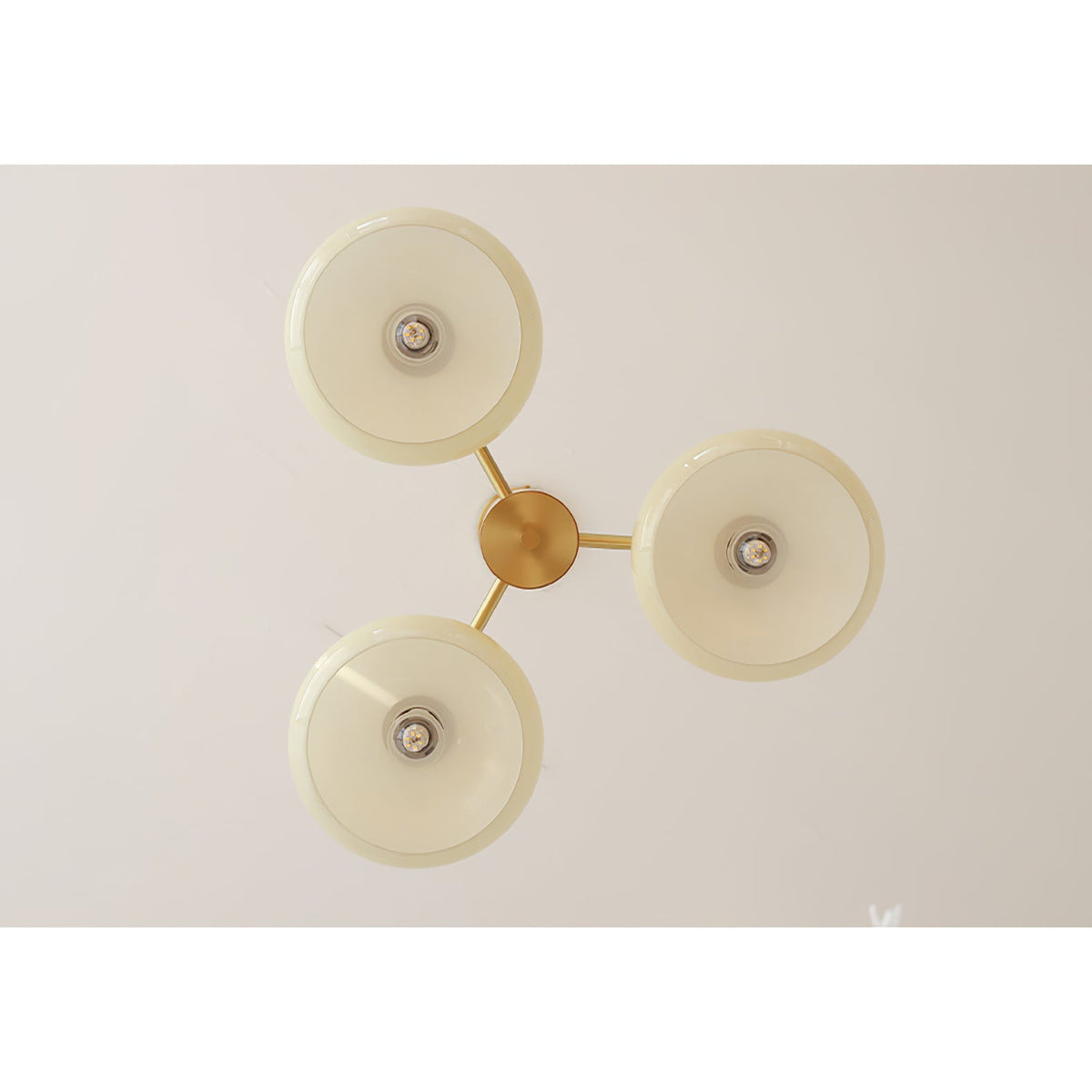 Bexna Oval Chandelier