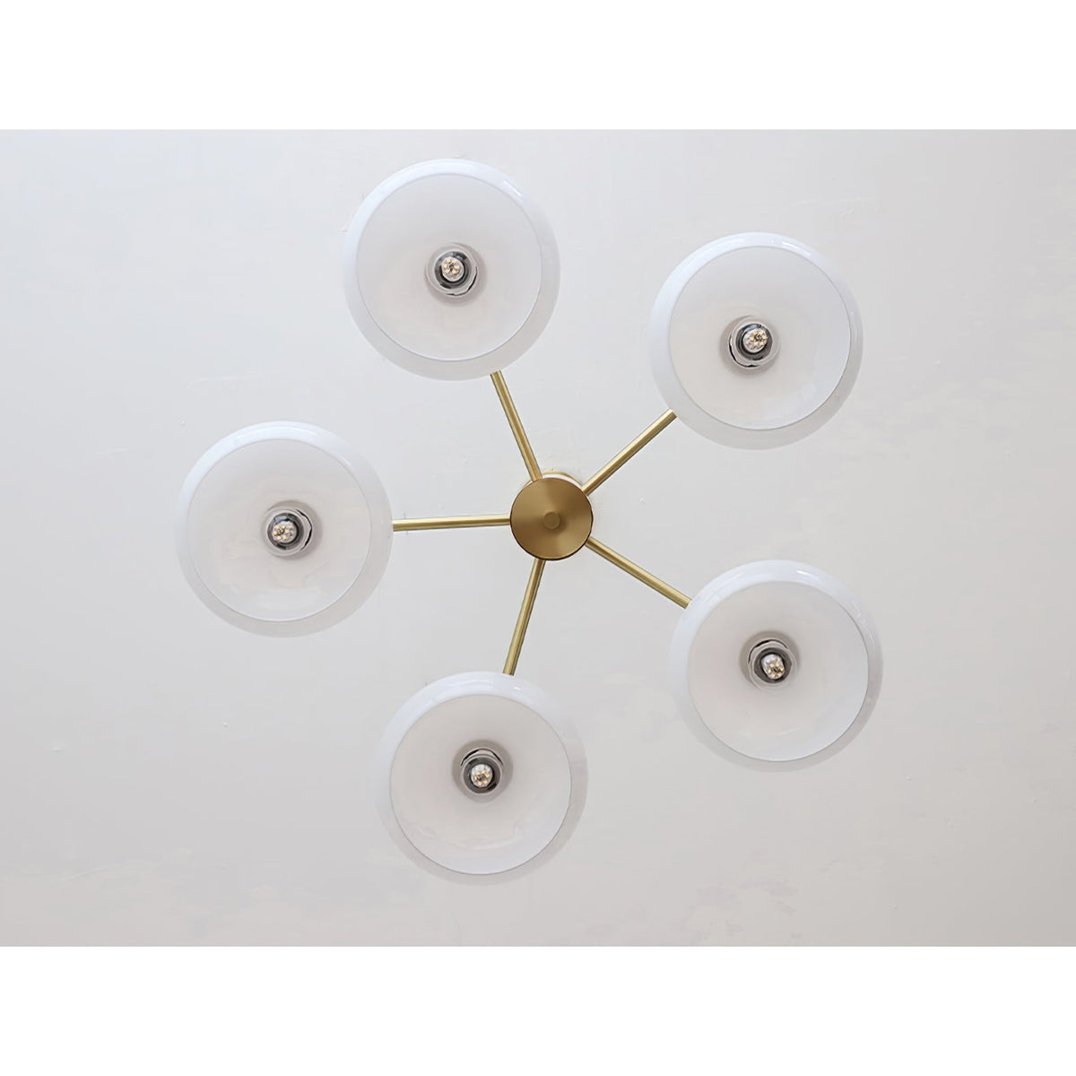 Bexna Oval Chandelier