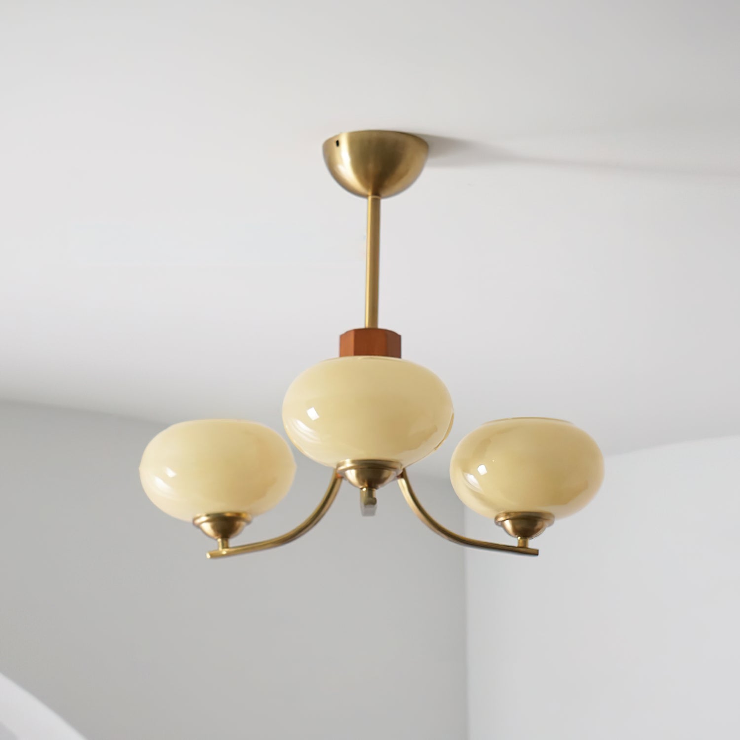 Veraso Ceiling Light