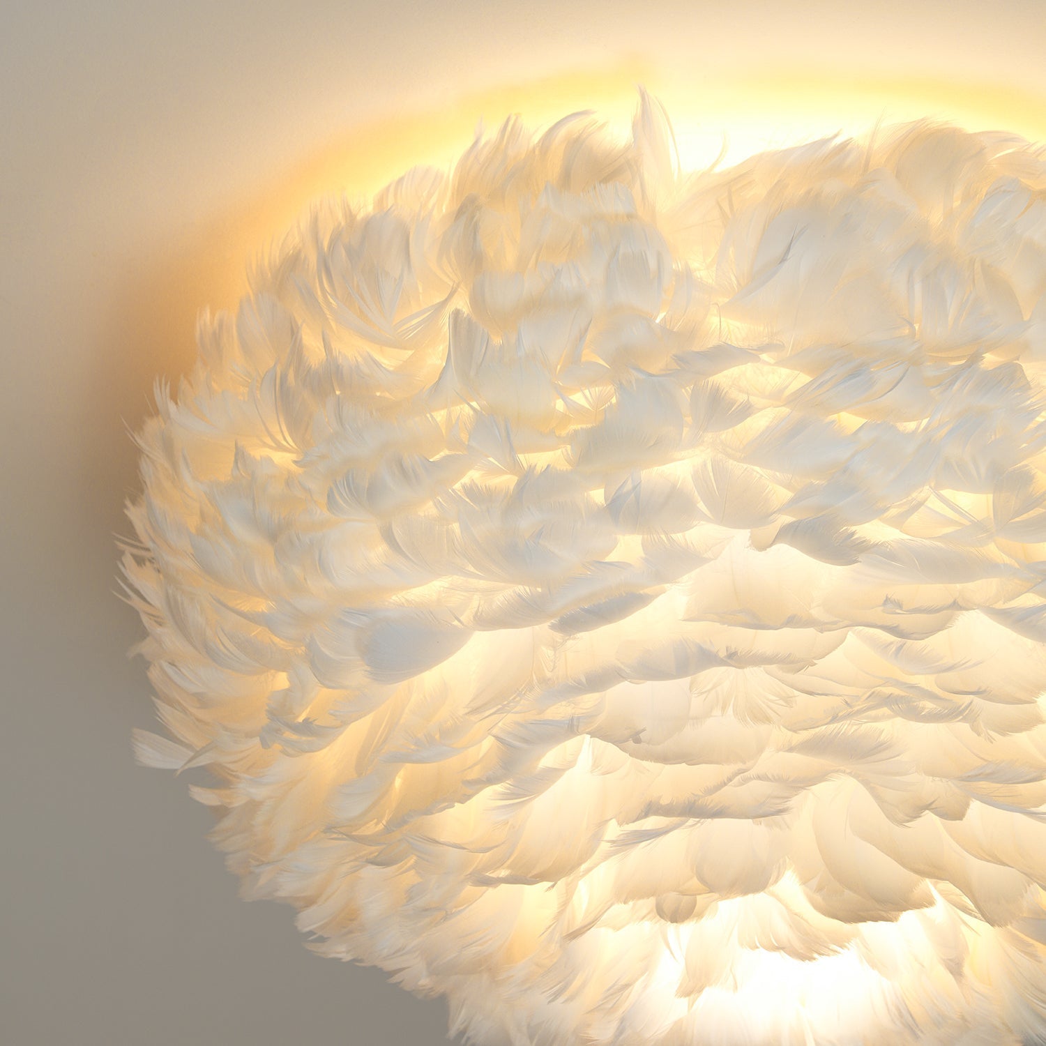 Feather Design Ceiling Light