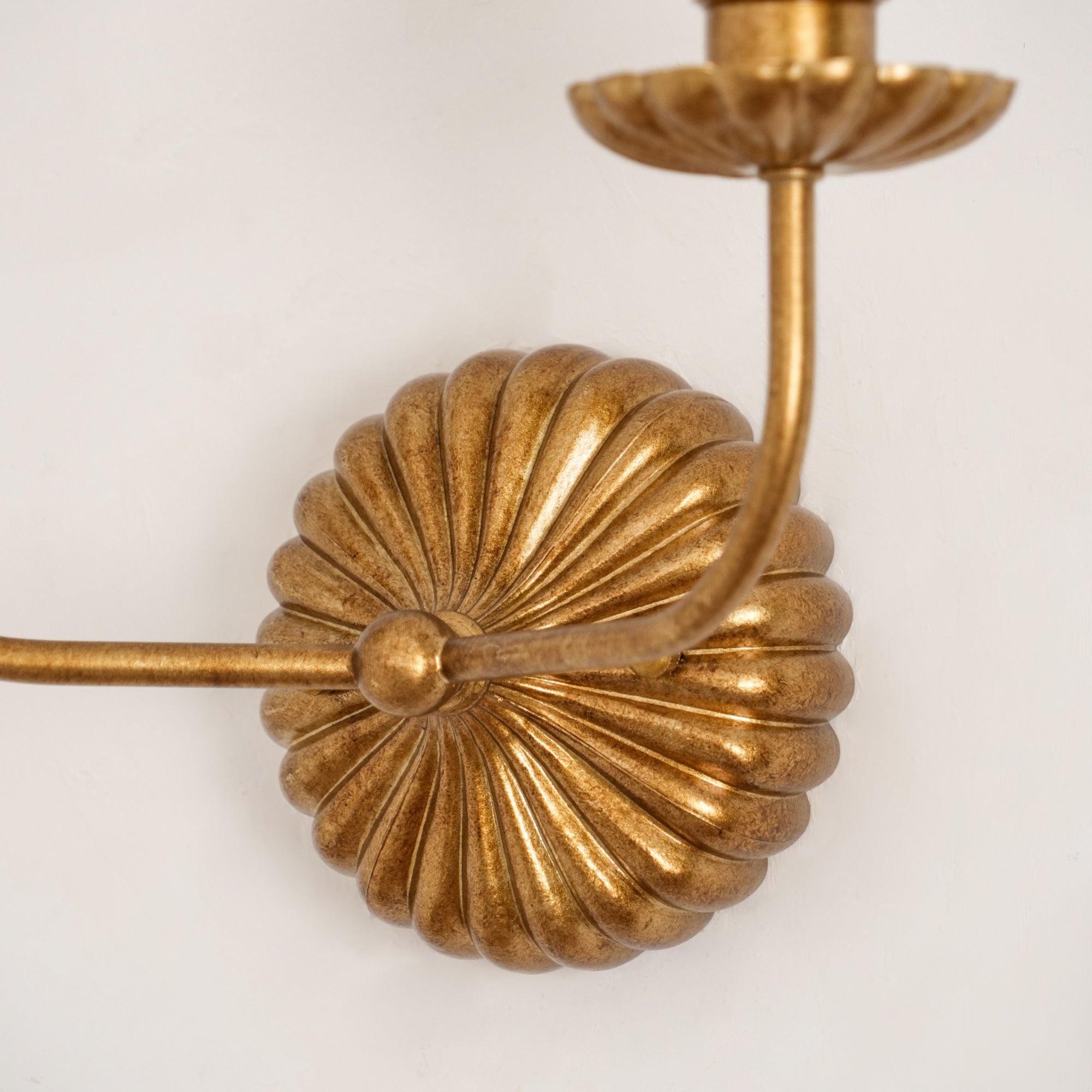 Sterve Wall Light