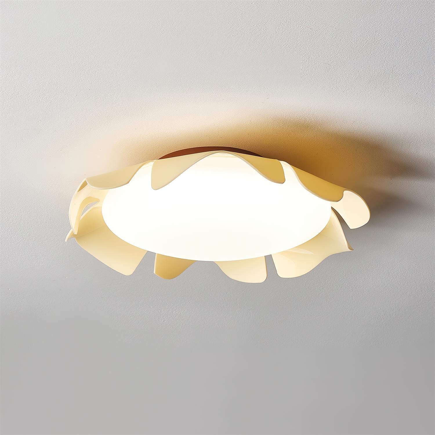 Fleiza Ceiling Light