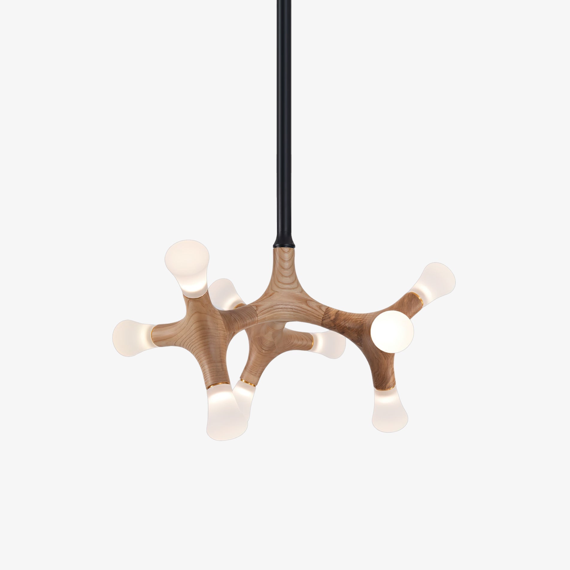 Bonewood Pendant Light