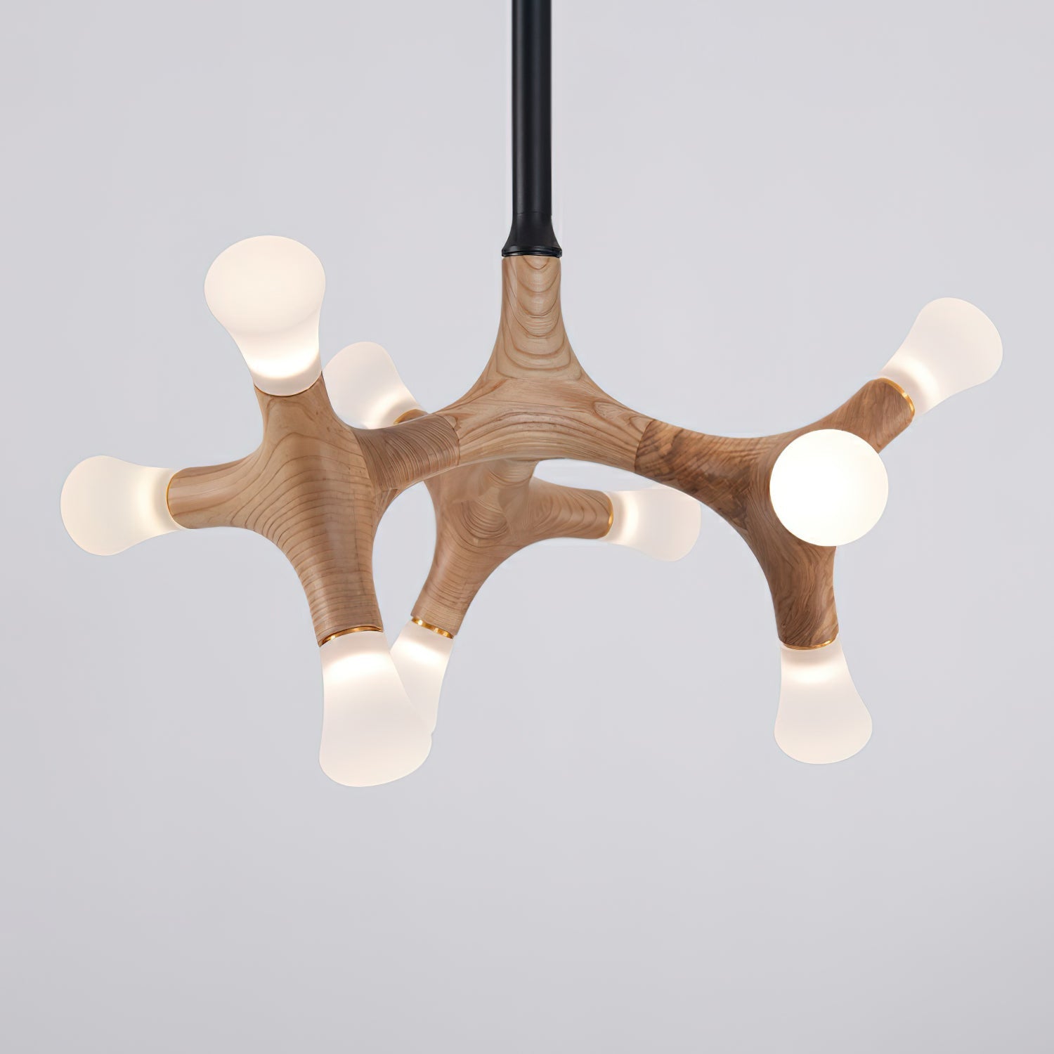 Bonewood Pendant Light