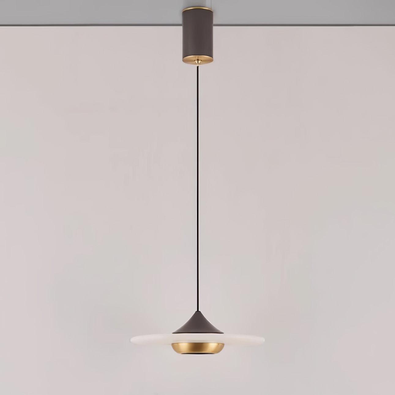 Plaque Pendant Light