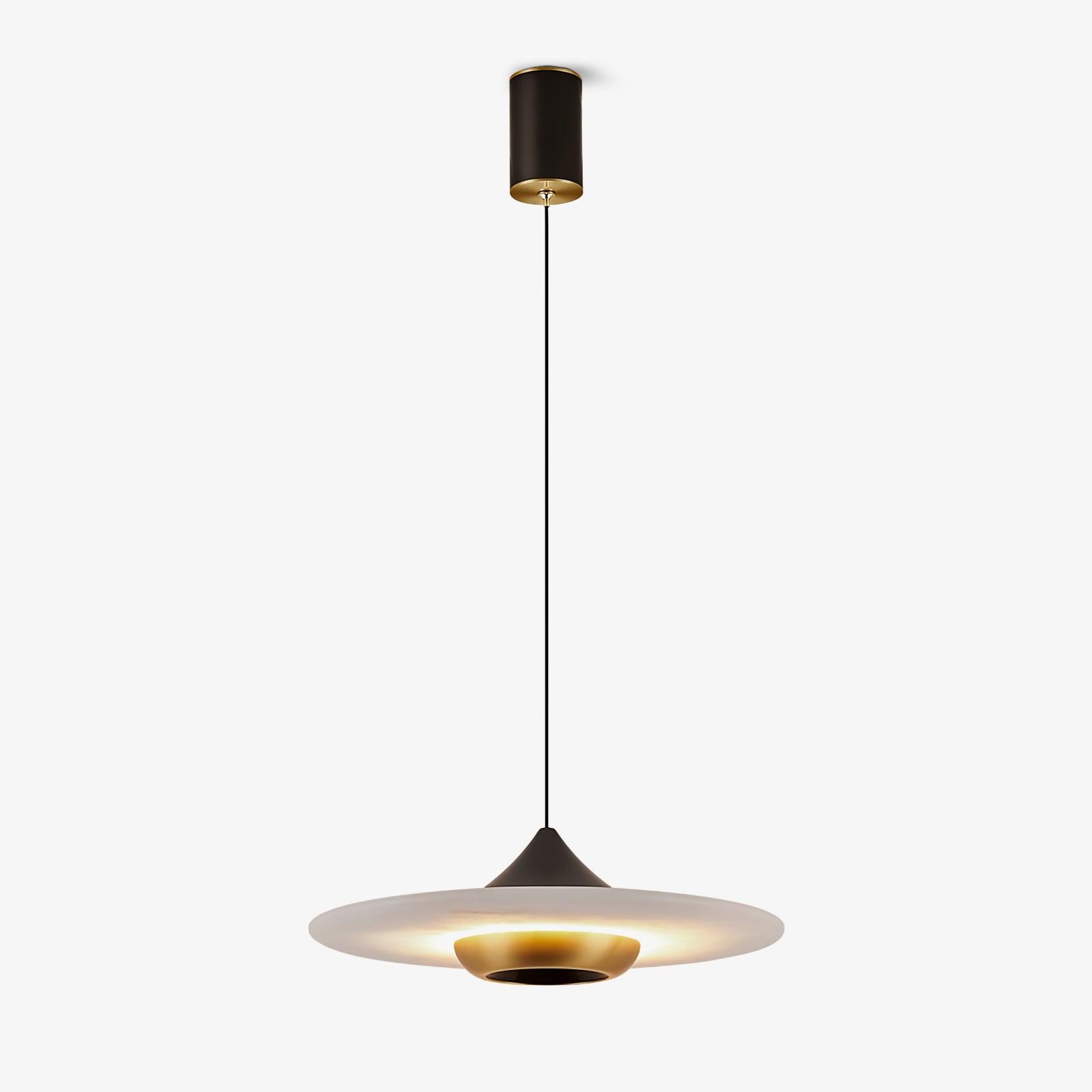 Plaque Pendant Light