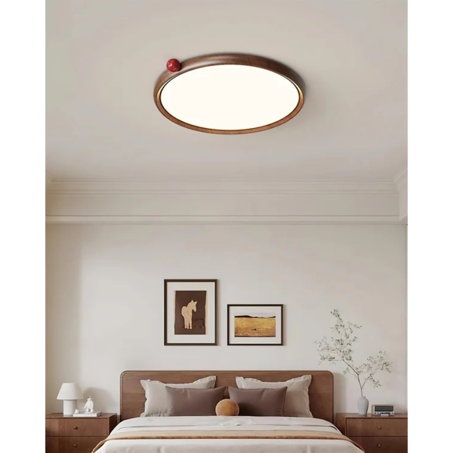 Geones Ceiling Light