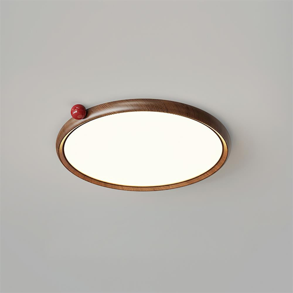 Geones Ceiling Light
