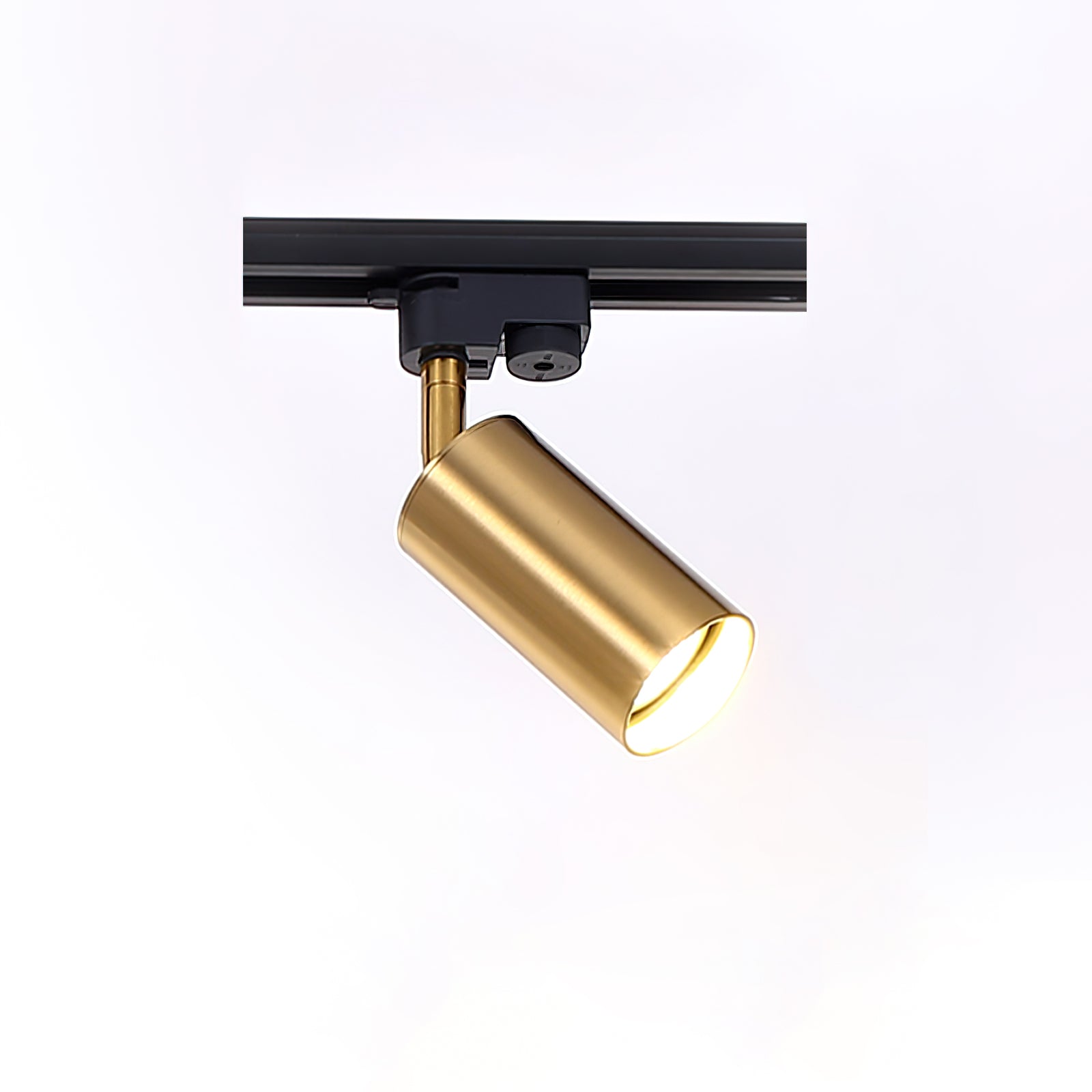 Gildezzo Ceiling Light