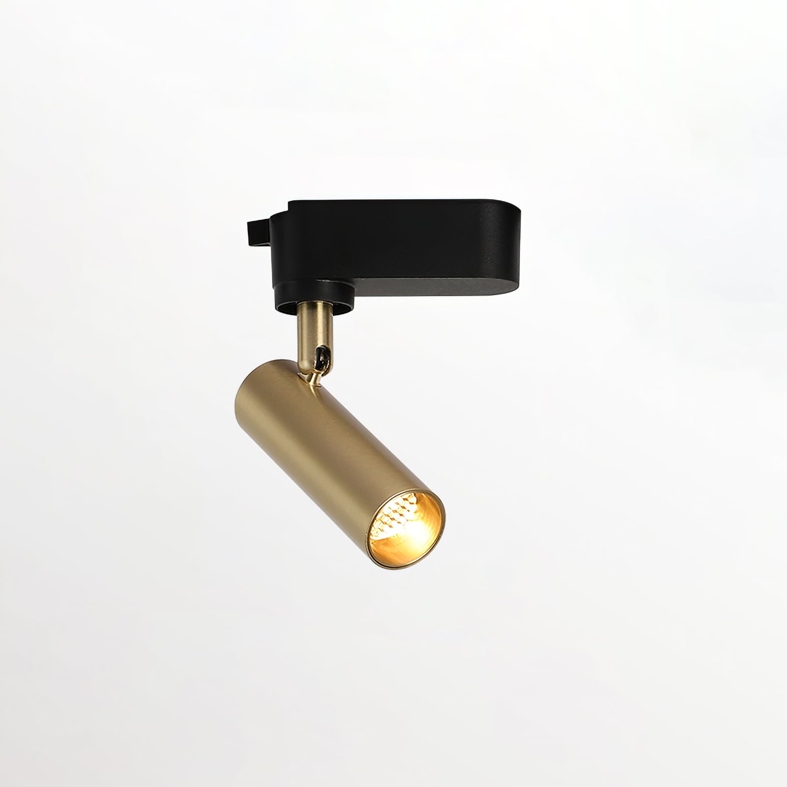 Gildezzo Ceiling Light