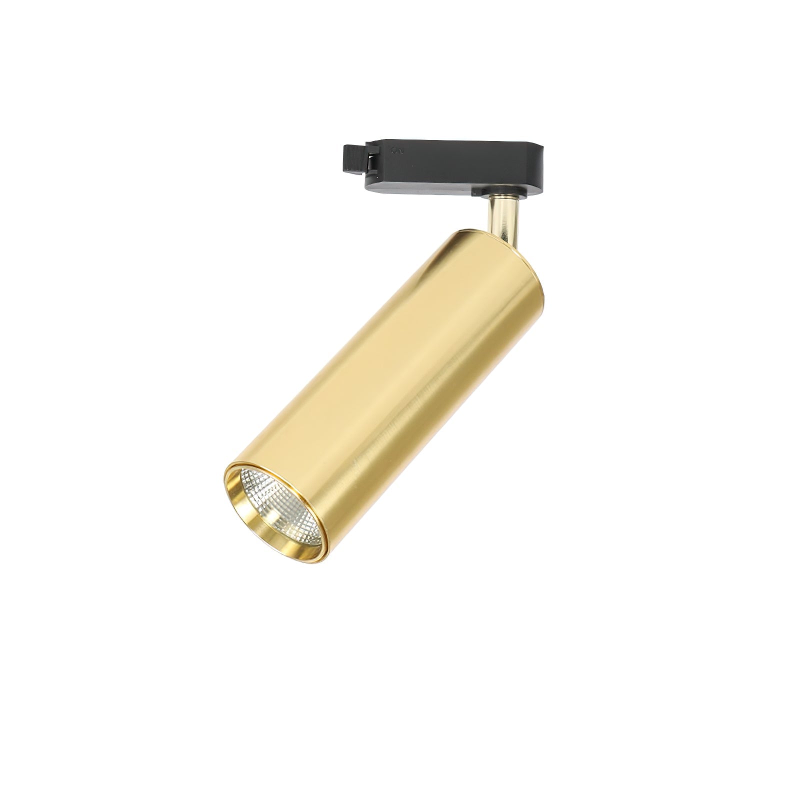 Gildezzo Ceiling Light