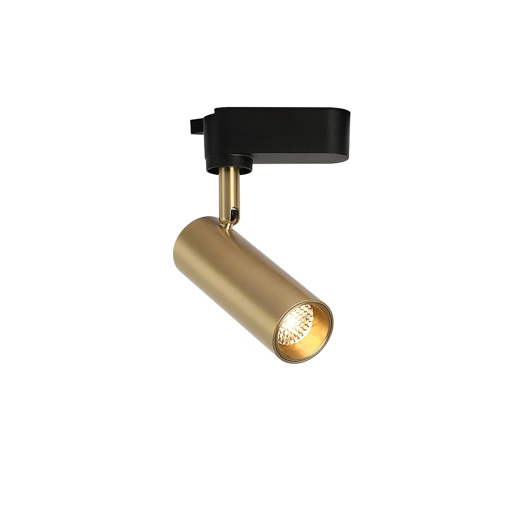 Gildezzo Ceiling Light