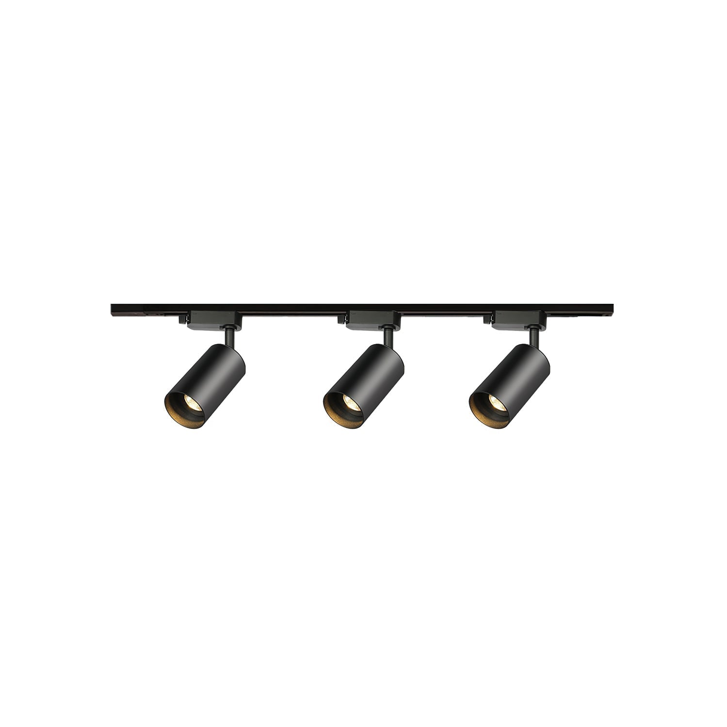 Gildezzo Ceiling Light