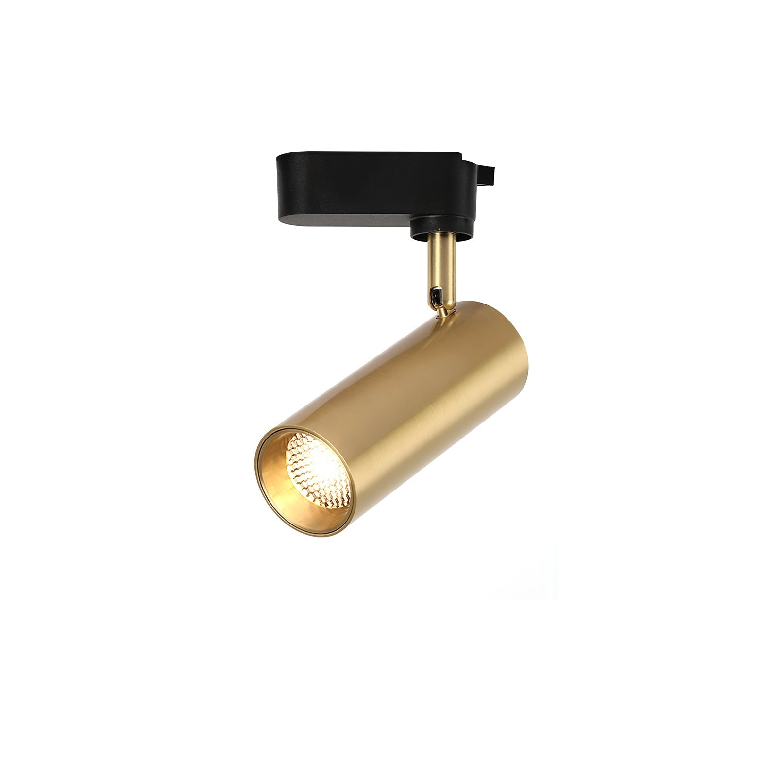 Gildezzo Ceiling Light