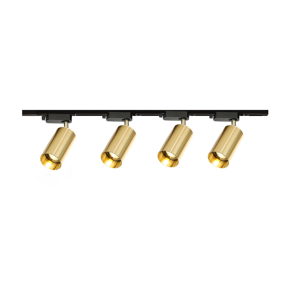 Gildezzo Ceiling Light