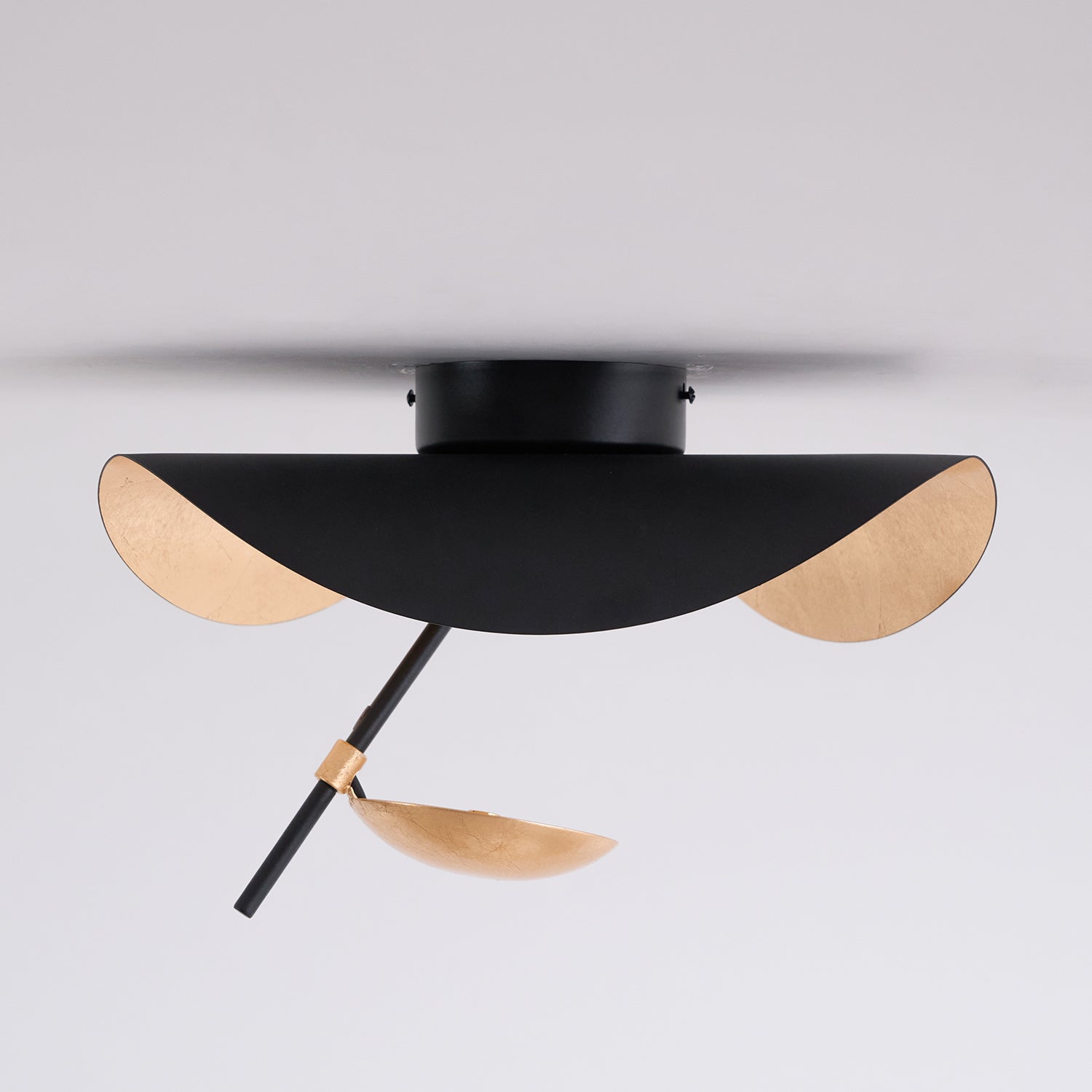 Georgoa Ceiling Light