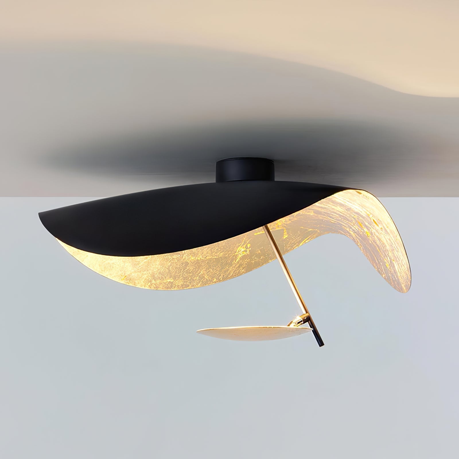 Georgoa Ceiling Light