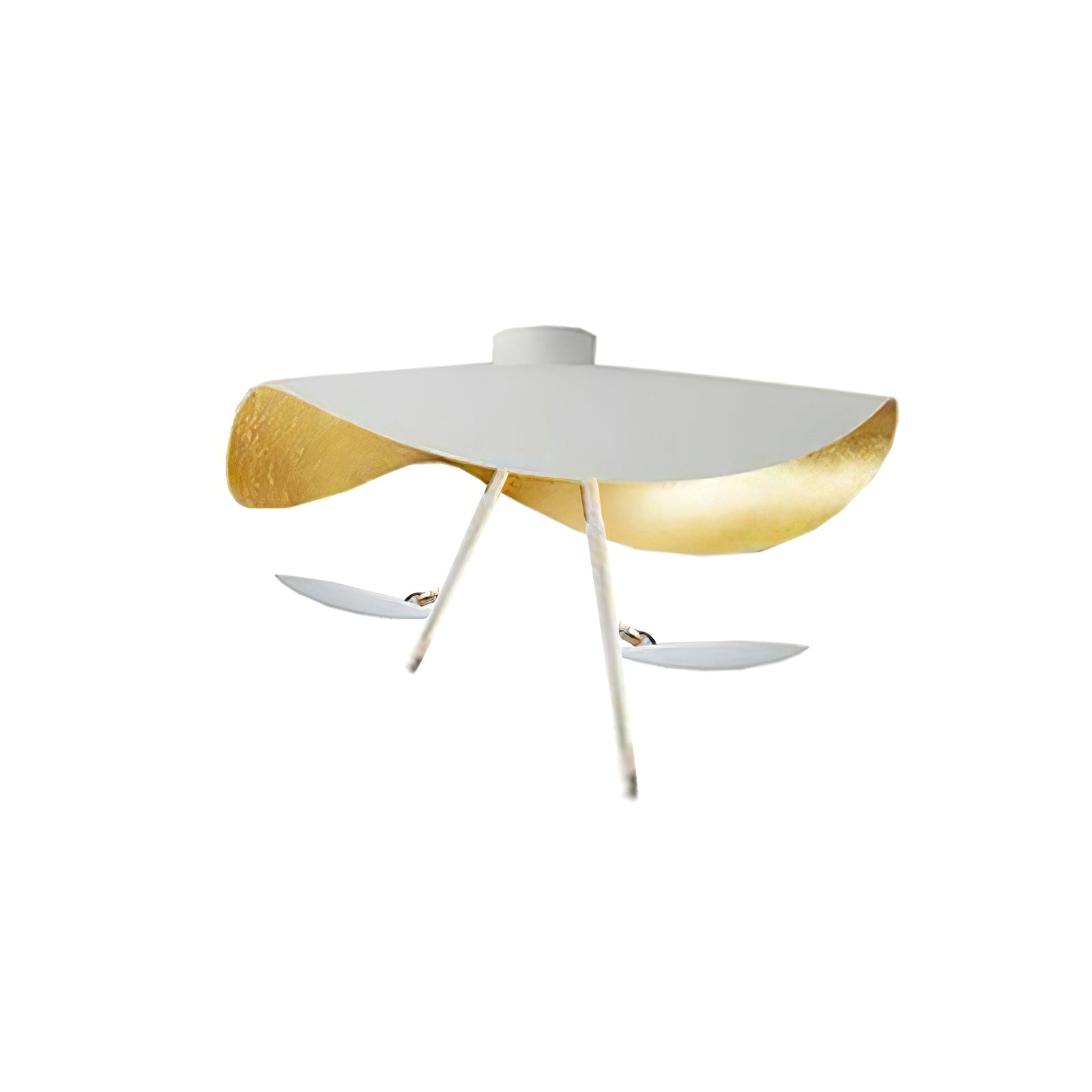 Georgoa Ceiling Light