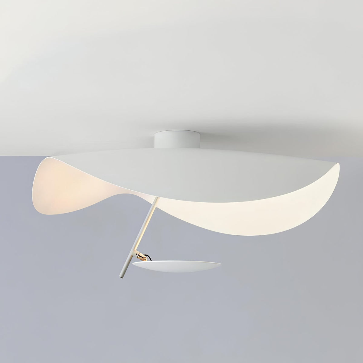 Veromont Sculptural Ceiling Light
