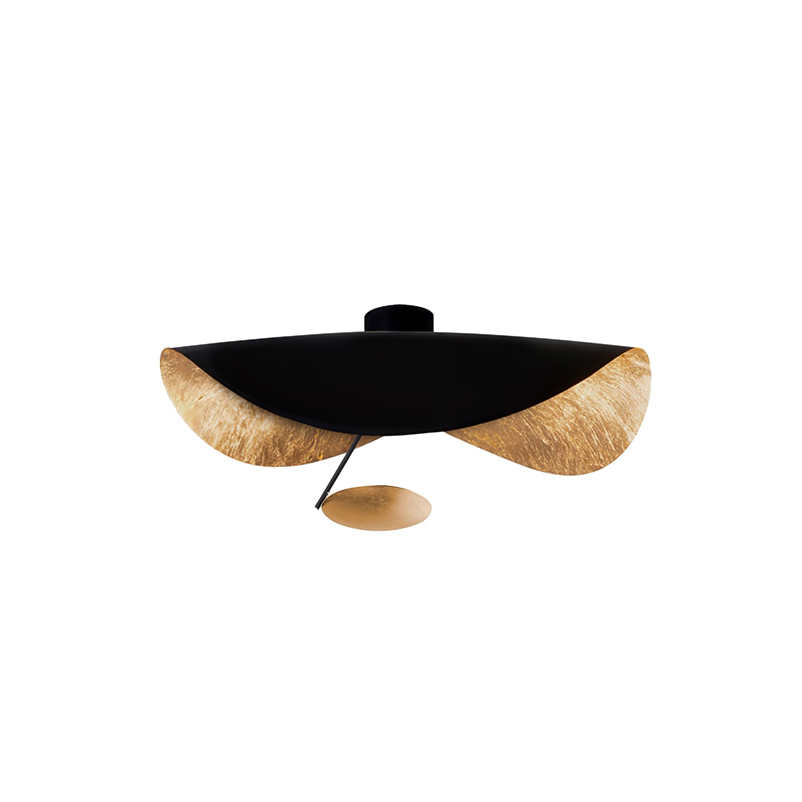 Georgoa Ceiling Light