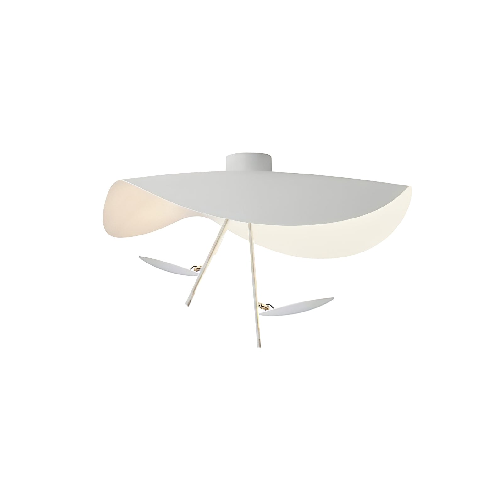 Georgoa Ceiling Light
