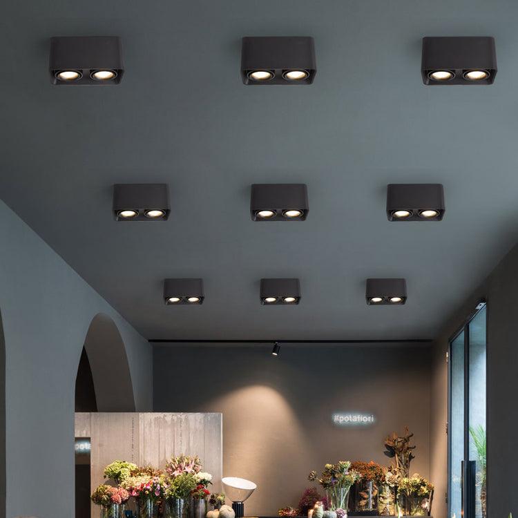 Dolzor Ceiling Light