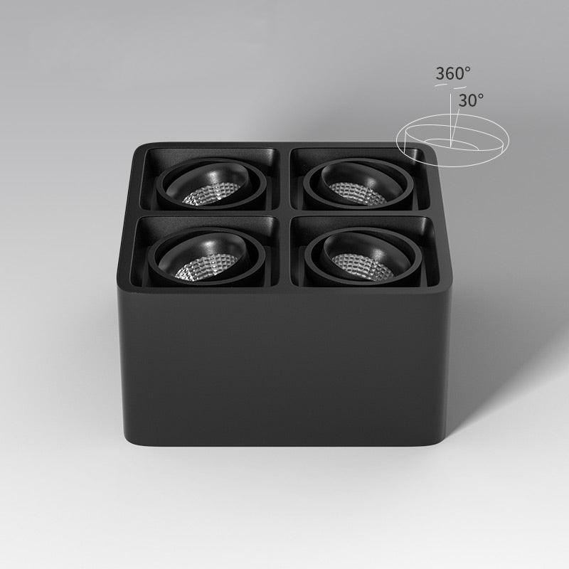 Dolzor Ceiling Light