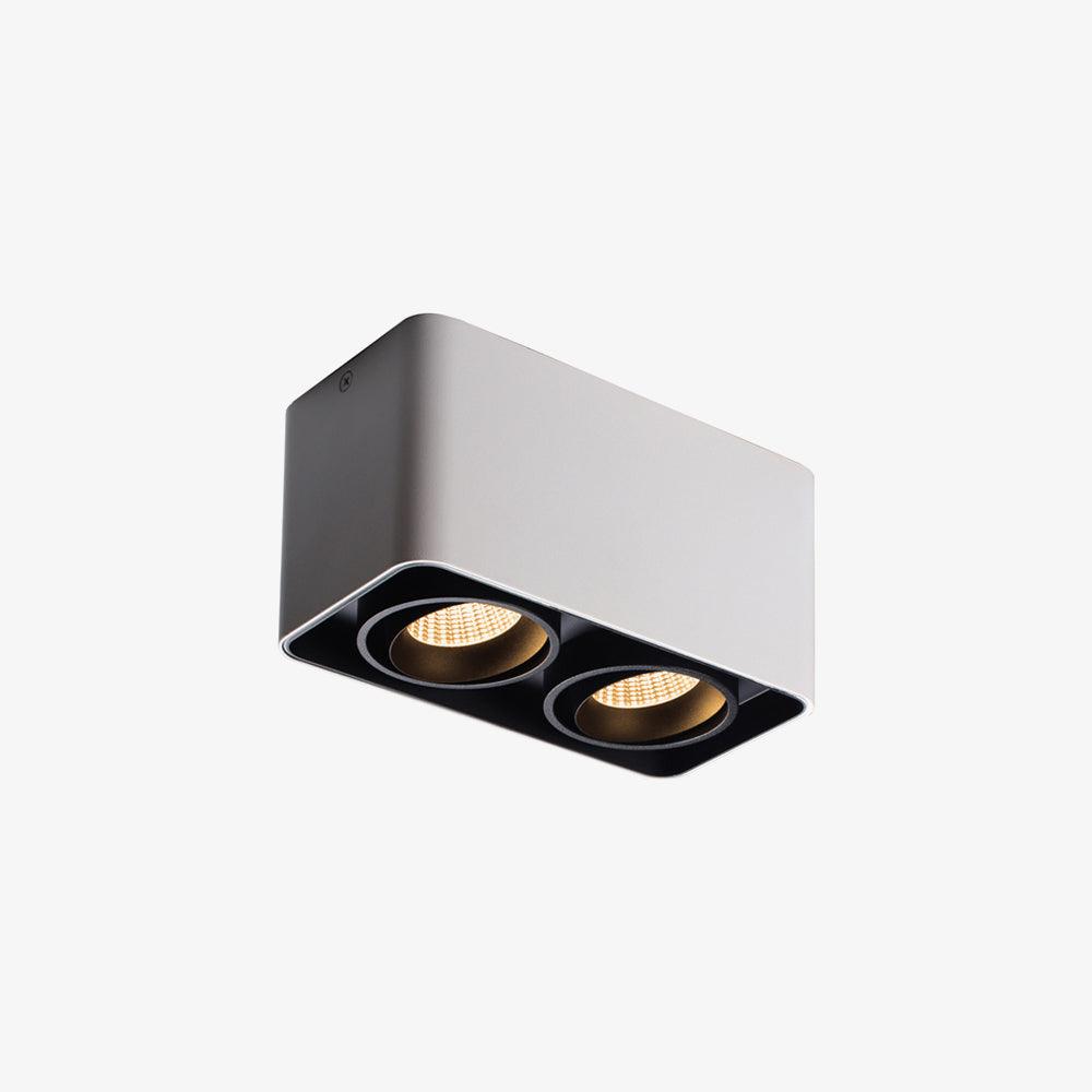 Dolzor Ceiling Light