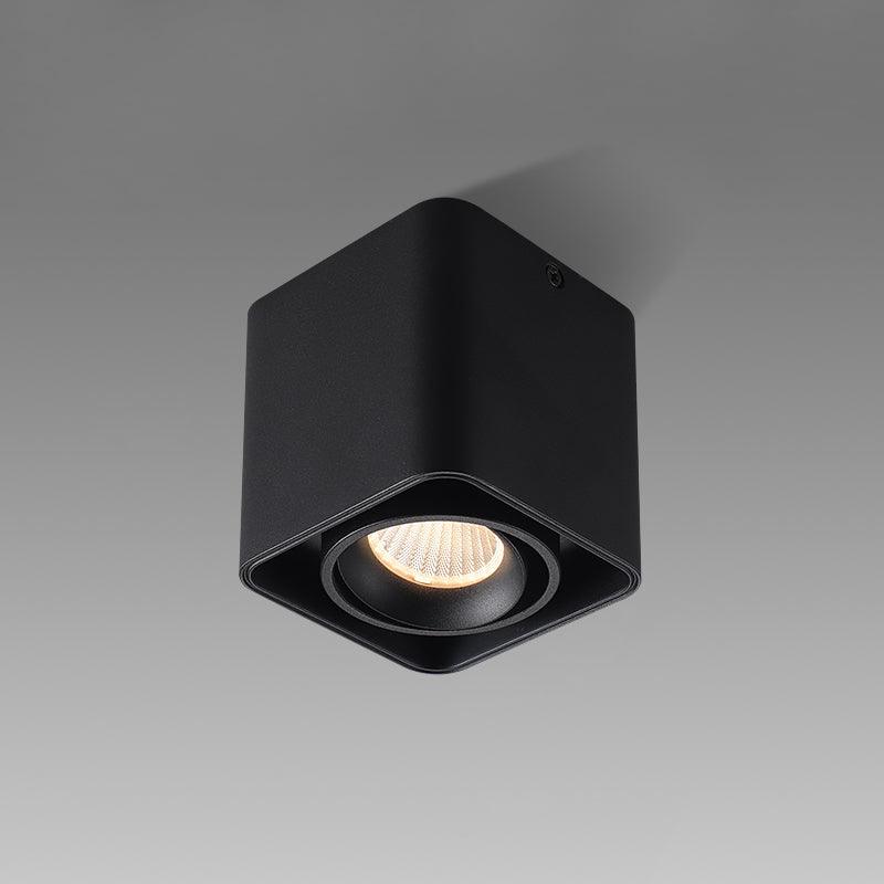 Dolzor Ceiling Light