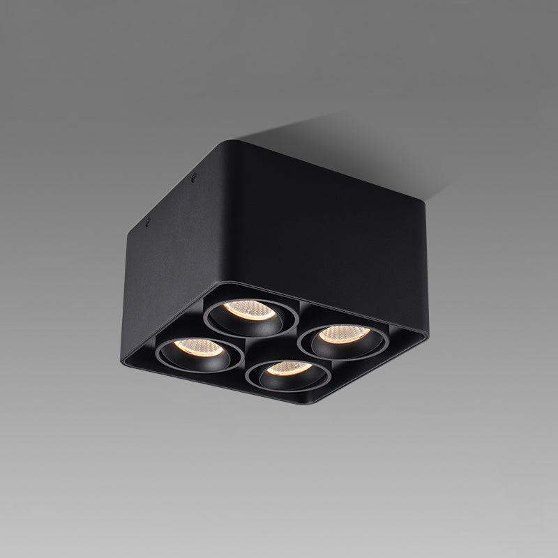 Dolzor Ceiling Light