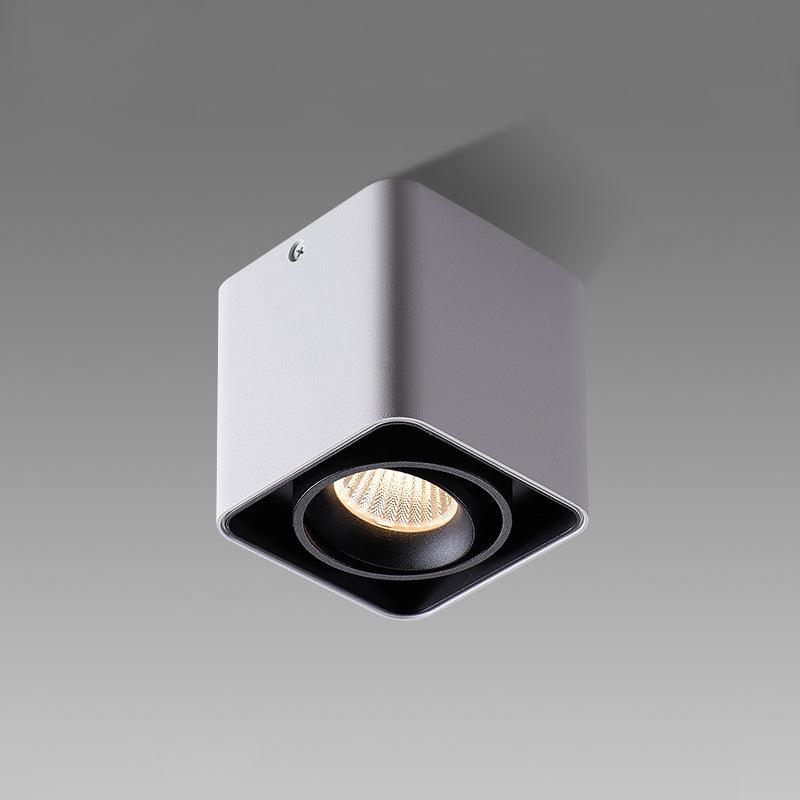 Dolzor Ceiling Light