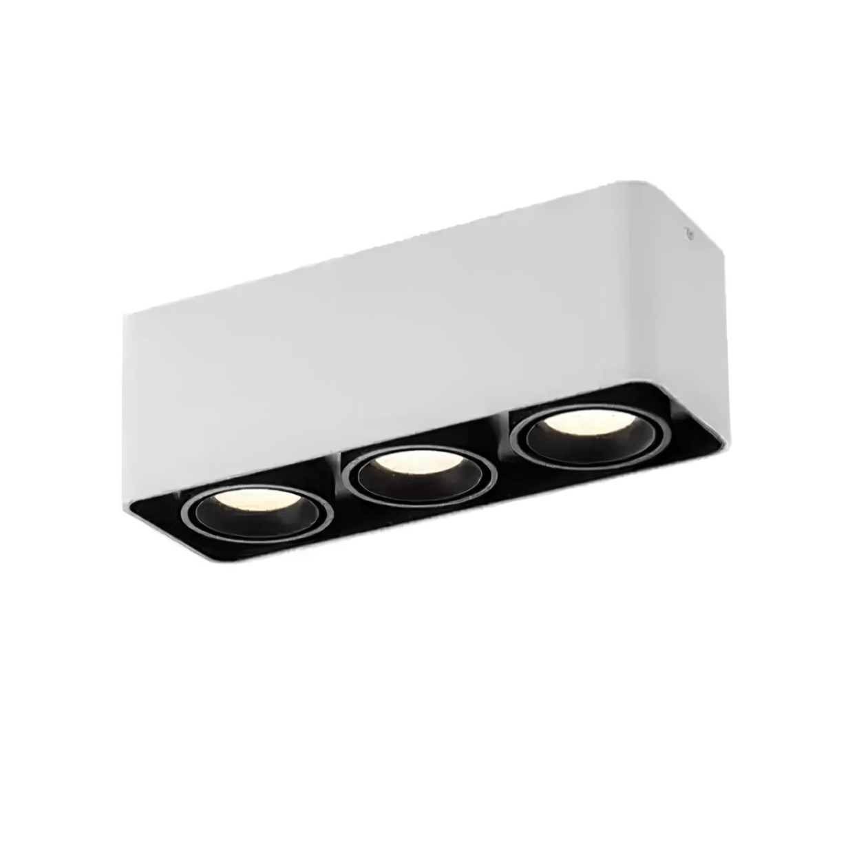 Dolzor Ceiling Light