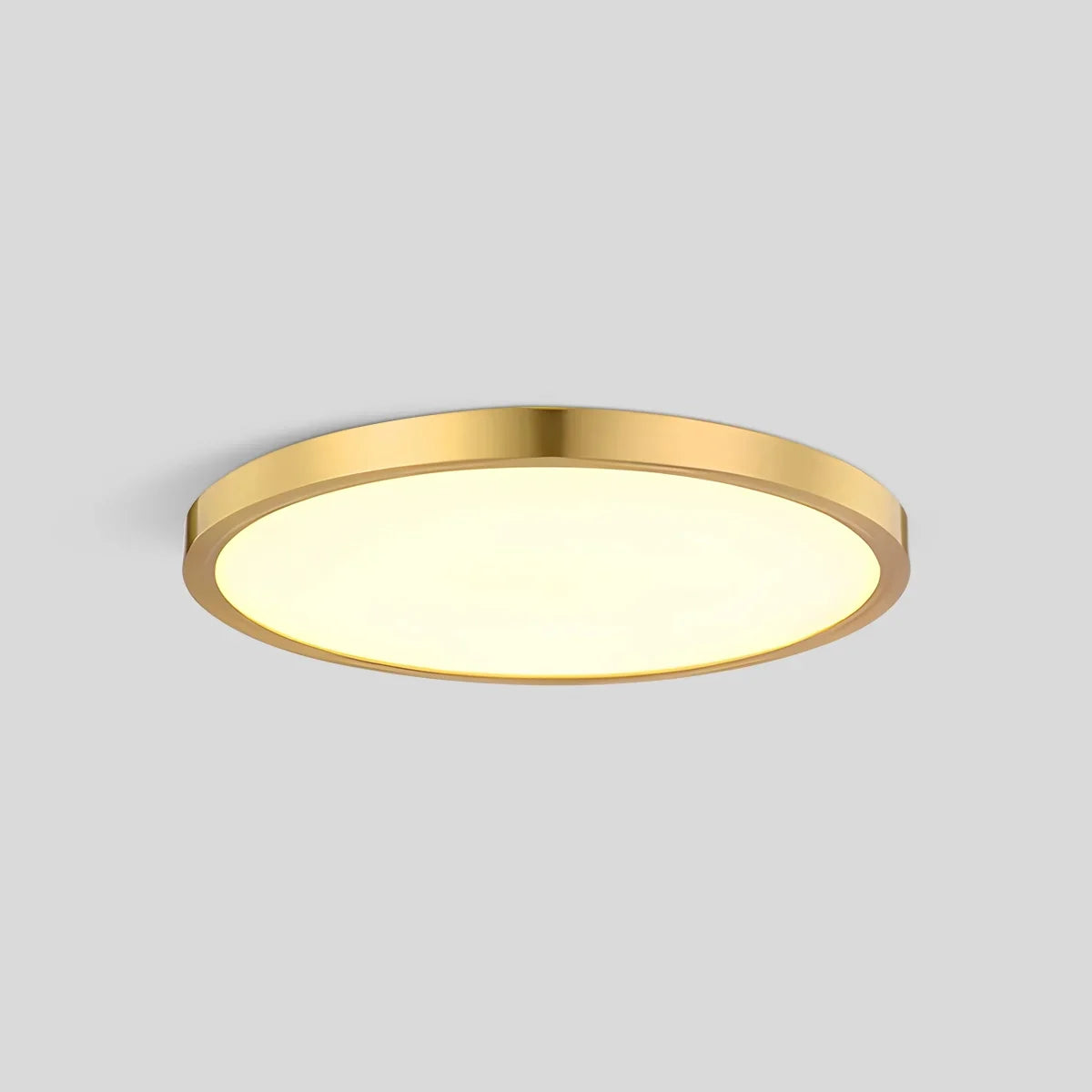 Disculon Ceiling Light