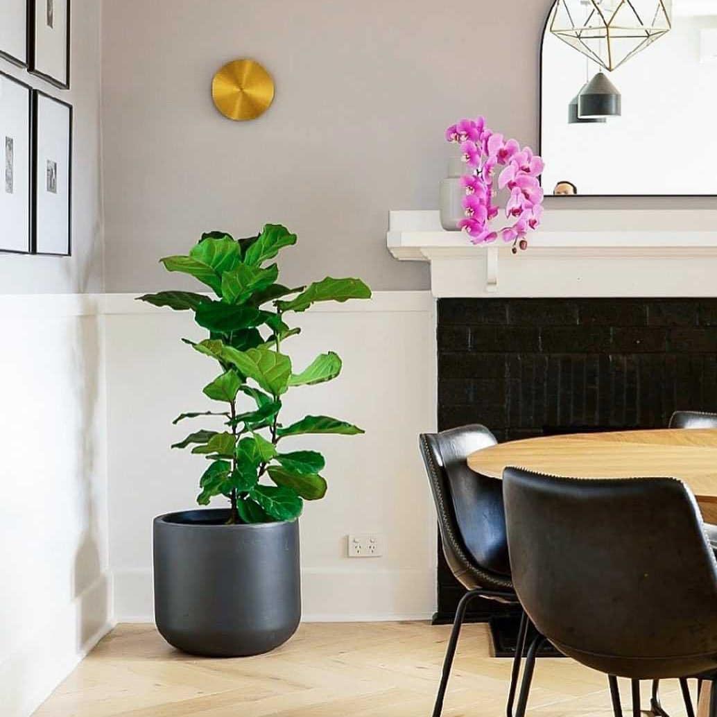 Gysso Wall Light